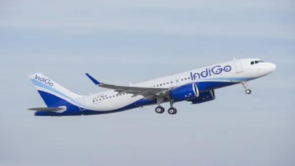 indigo