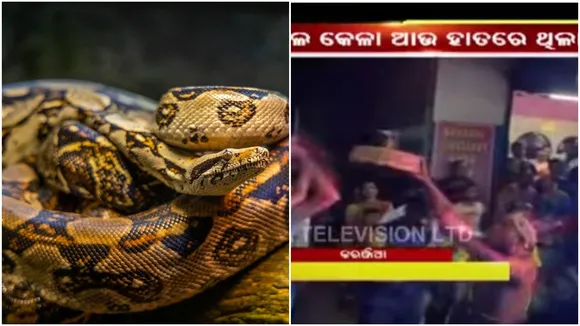 Naagin dance Viral Video Odisha