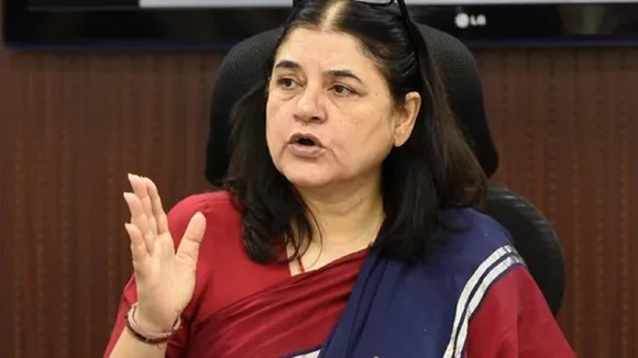 maneka gandhi