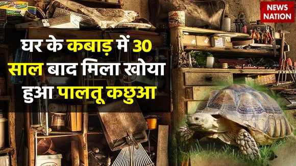 Family Finds Lost Tortoise Alive