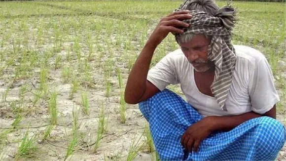 sad bihari farmer