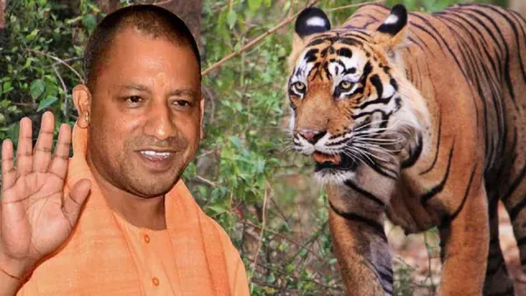 CM Yogi