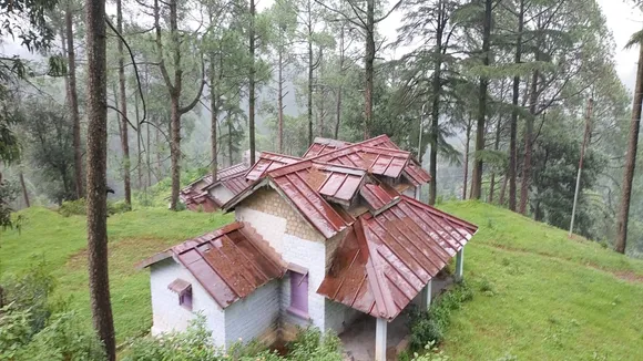 TB Center Nanital