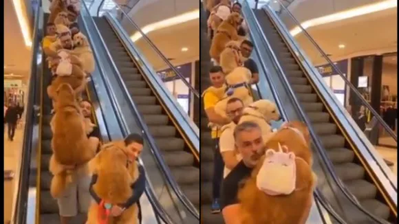 People With Thier Pet Dogs In Mall