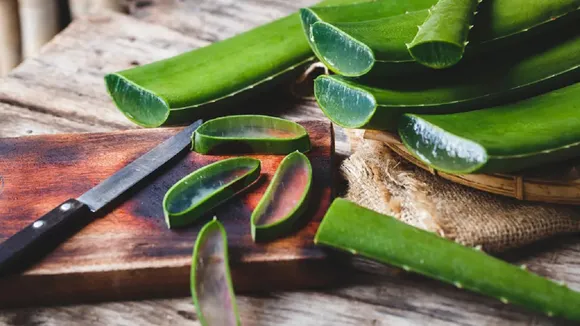 Aloe Vera For Skin Care