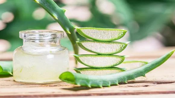 Aloe Vera For Sunburn