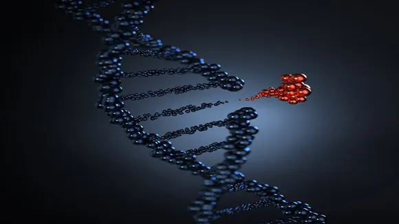 DNA