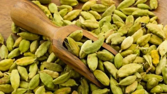 Cardamom