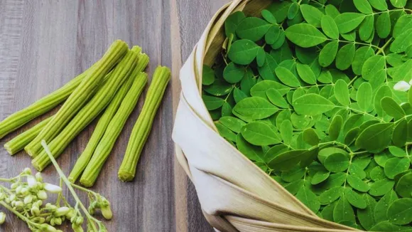 Moringa