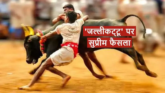 jallikattu