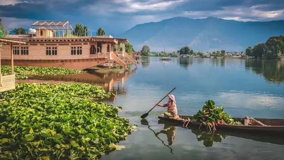 kashmir