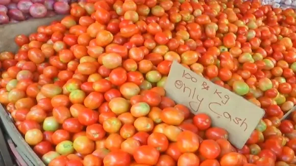 tomato in vegetable