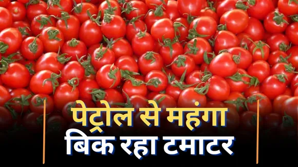 Tomato Price Hike