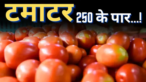 Tomato Price Hike