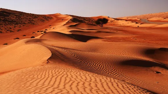 Oman Desert