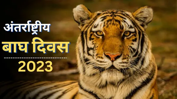 International Tiger Day 2023