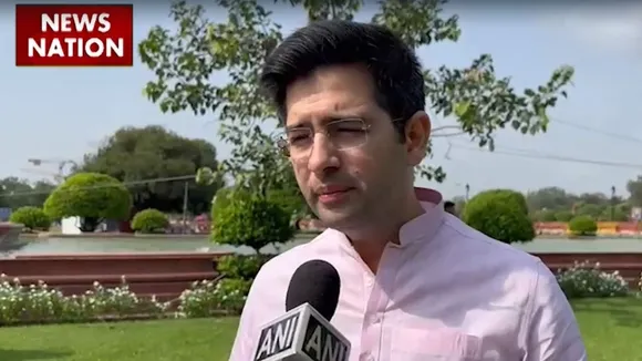 Raghav Chadha On Delhi Services Bill