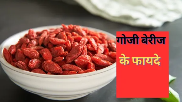 Goji berries Benefits