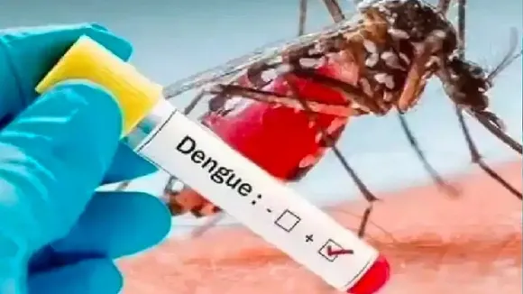 dengue