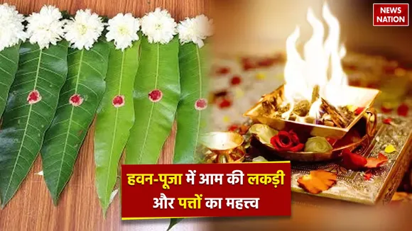 importance of mango wood and leaves in havan and puja