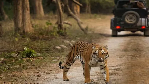 Jim Corbett