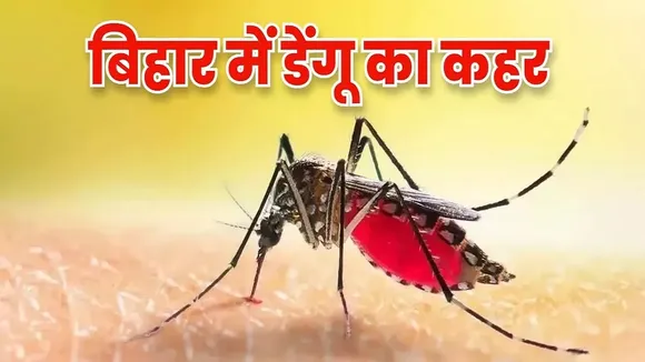 Dengue in Bihar