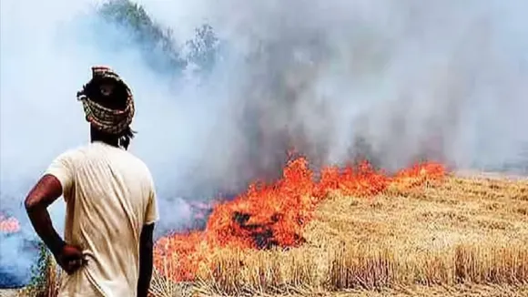 loss due to stubble burning