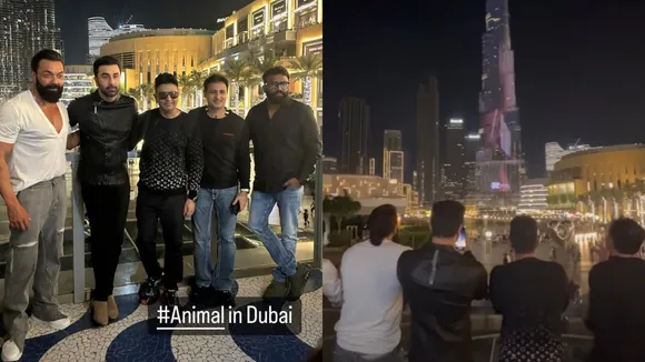 animal in dubai