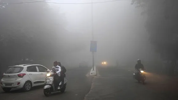 Delhi Cold