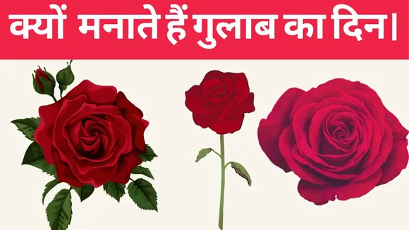 Rose Day 2024