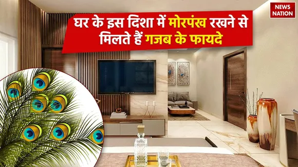 Vastu Tips For Mor Pankh