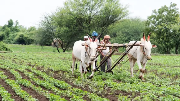 Farmers