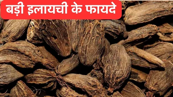 Badi Elaichi Benefits