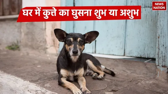 Shakun Apshakun arrival of a dog in house is auspicious or inauspicious