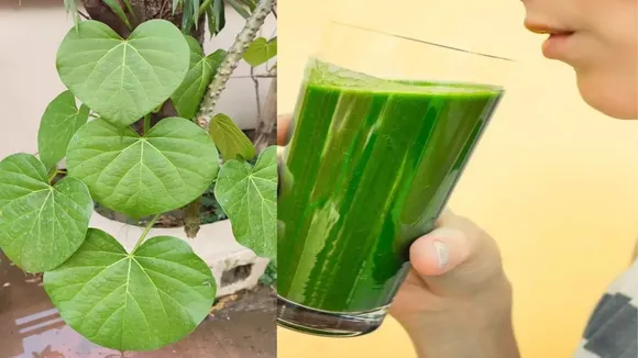 Benefits of Giloy Juice