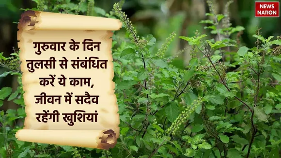 Tulsi Puja path benefits