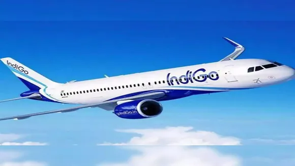 Indigo Flight