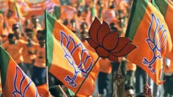 bjp flag