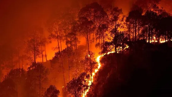 uttarakhand forest fire