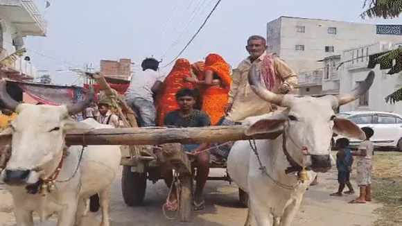 BiharVoters On Bullock Cart