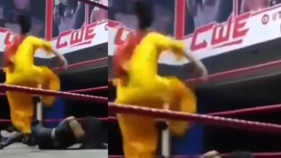 viral wwe fight video