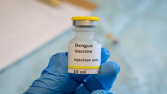 dengue vaccine