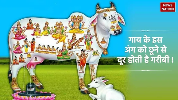 cow worship benefits