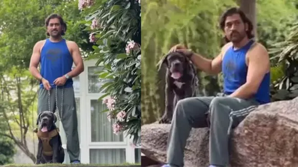 MS Dhoni seen with his pet dogs at his Ranchi Farm house watch viral video