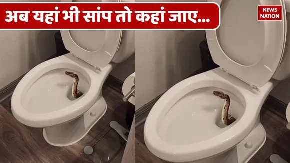 viral video snake toilet