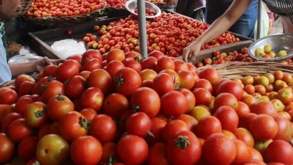 Tomato prices