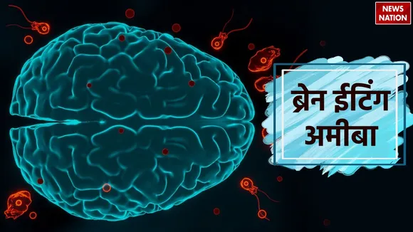 Brain Eating Amoeba