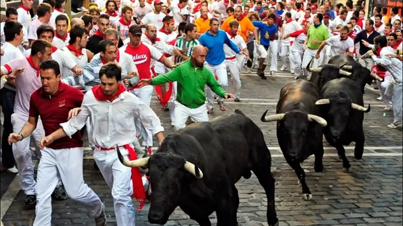 Spain Bull Race
