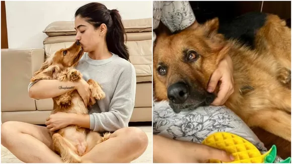 Rashmika Mandanna Pet