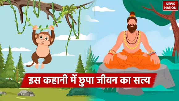 Sants Story Monkey and Laddu A Lesson in Spiritual Freedom